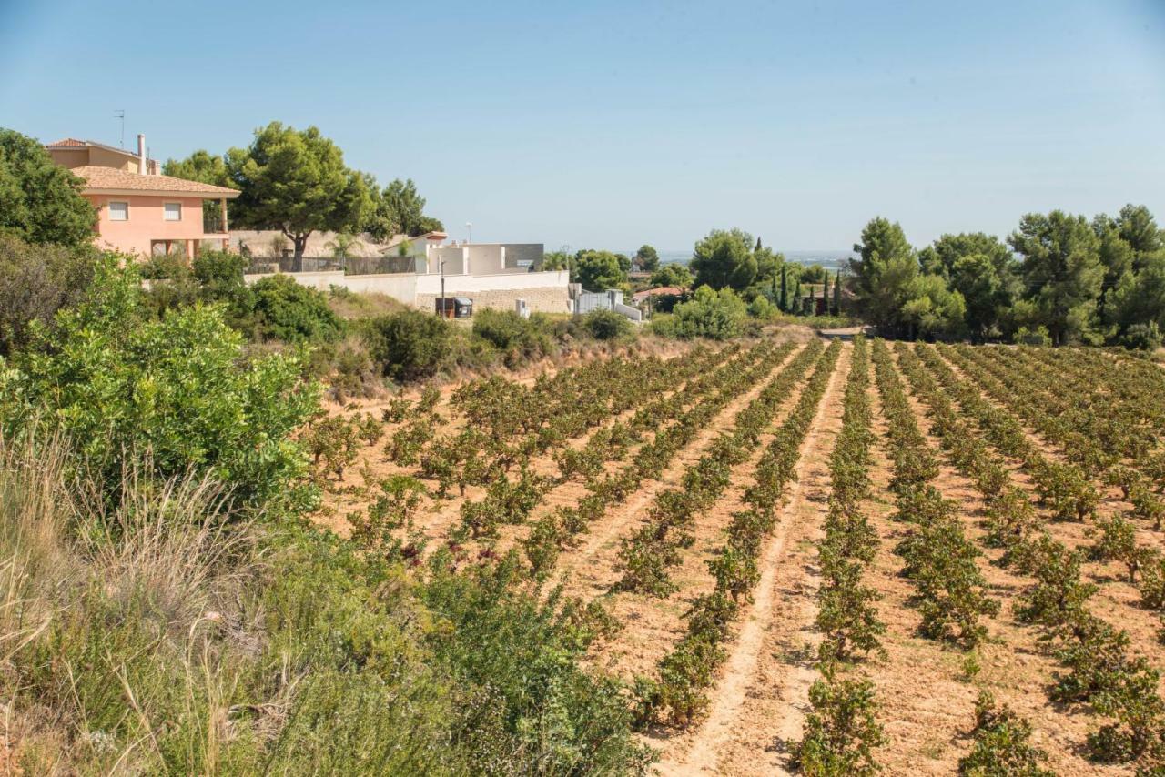 Las Casitas De Noah Villa Monserrat Dış mekan fotoğraf